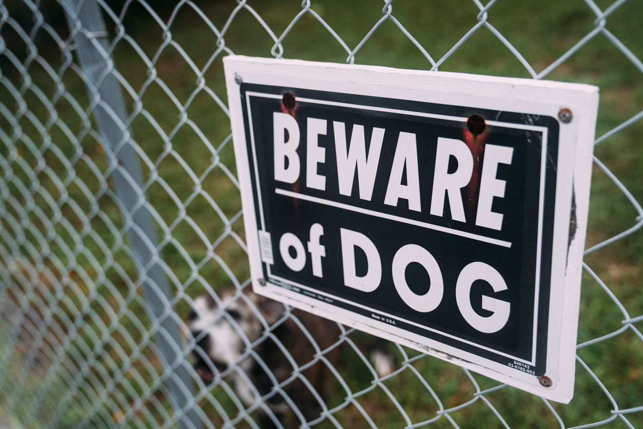 A dog behind a chainlink fence with a "Beware of Dog" sign posted